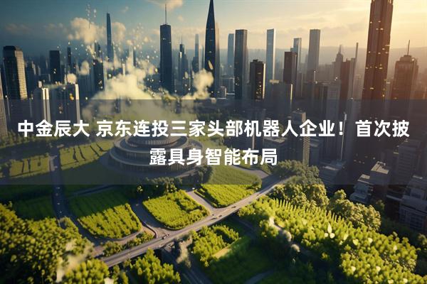 中金辰大 京东连投三家头部机器人企业！首次披露具身智能布局