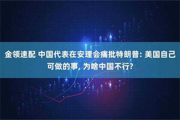 金领速配 中国代表在安理会痛批特朗普: 美国自己可做的事, 为啥中国不行?