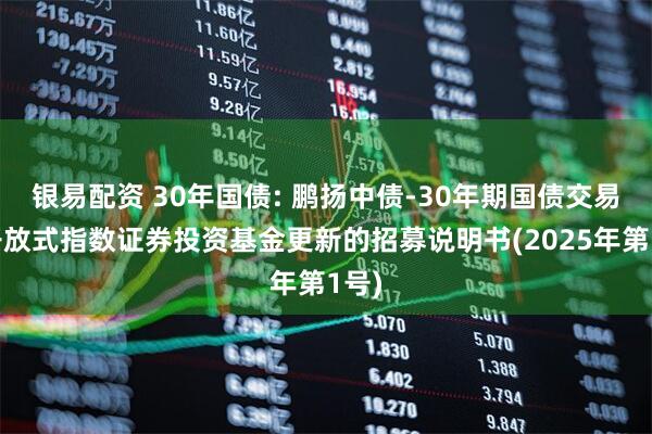 银易配资 30年国债: 鹏扬中债-30年期国债交易型开放式指数证券投资基金更新的招募说明书(2025年第1号)
