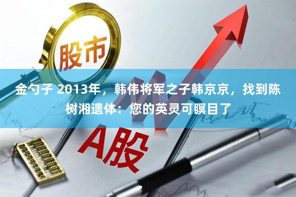 金勺子 2013年，韩伟将军之子韩京京，找到陈树湘遗体：您的英灵可瞑目了